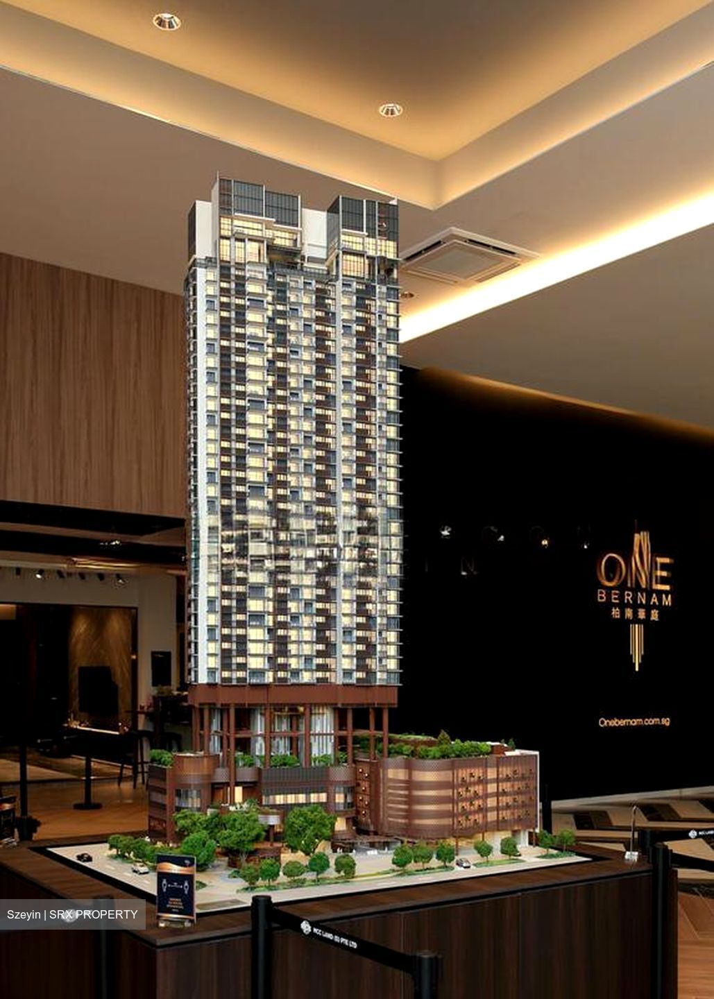 One Bernam (D2), Apartment #504095651